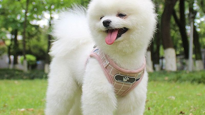 成都冷库板厂家价格解析：揭秘性价比之选