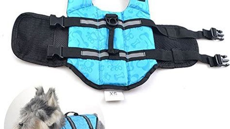 小型冷库选型：性价比高的关键考量**